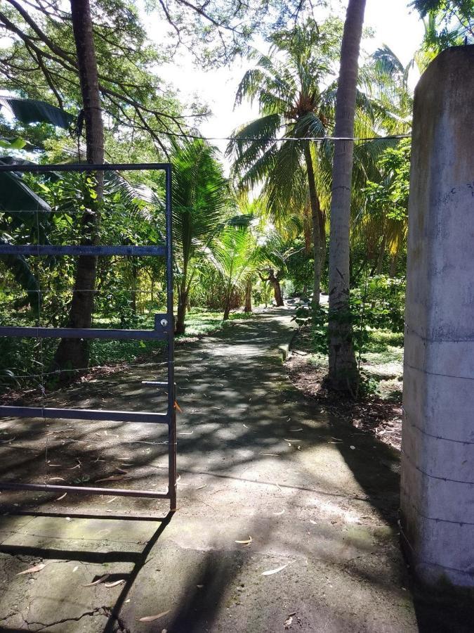 بيت شباب Rancho Tranquillo مويوجالبا المظهر الخارجي الصورة