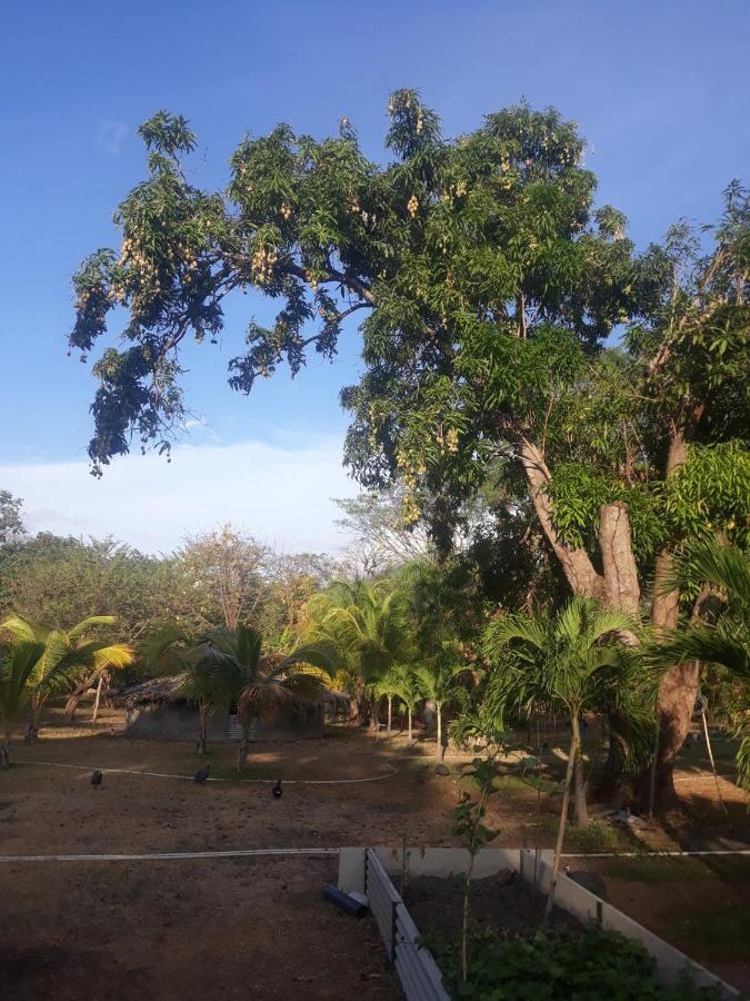 بيت شباب Rancho Tranquillo مويوجالبا المظهر الخارجي الصورة