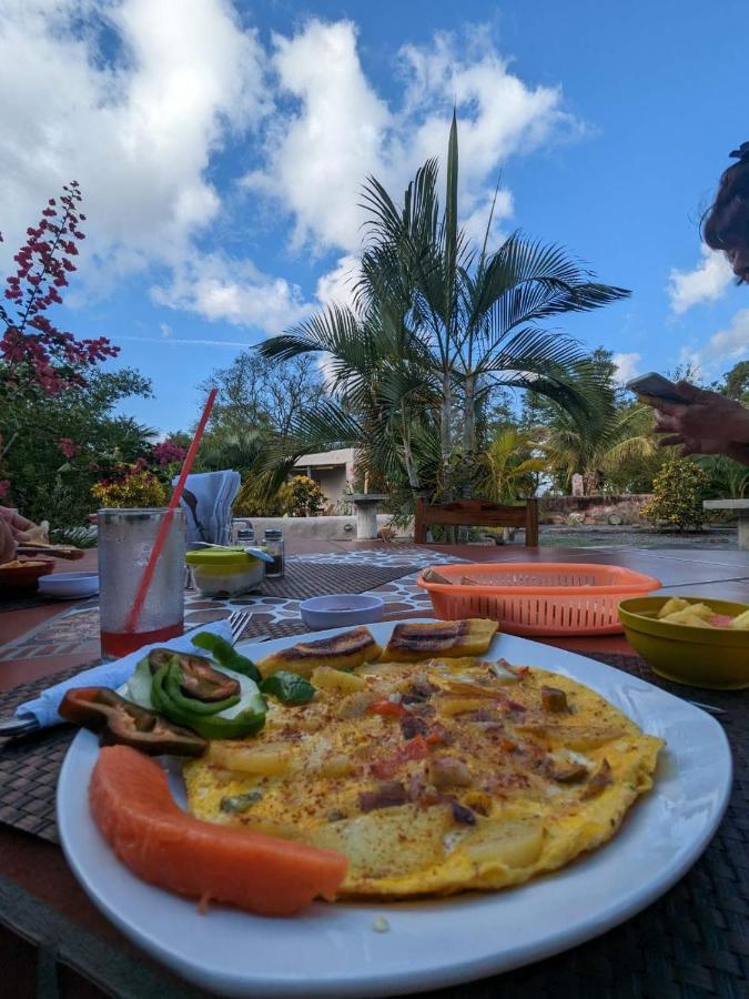 بيت شباب Rancho Tranquillo مويوجالبا المظهر الخارجي الصورة