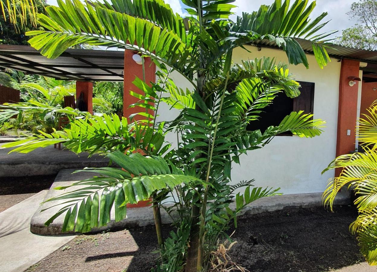 بيت شباب Rancho Tranquillo مويوجالبا المظهر الخارجي الصورة